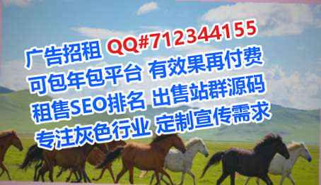 明水代生网络科技公司